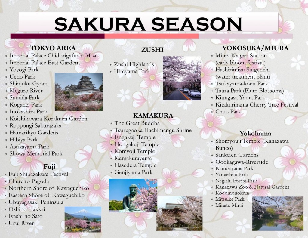This image of the sakura season in Tokyo and the Greater Tokyo Area is courtesy of CFAY in Yokosuka